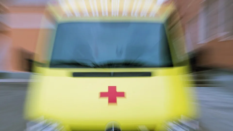 Фото: ТАСС/Сергей Бобылев