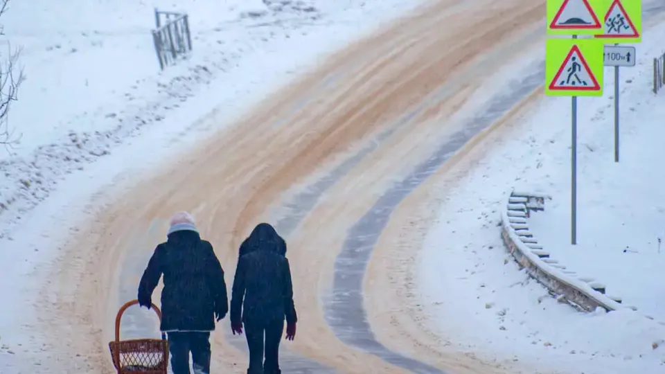 Фото: REGIONS/Дарина Левкина