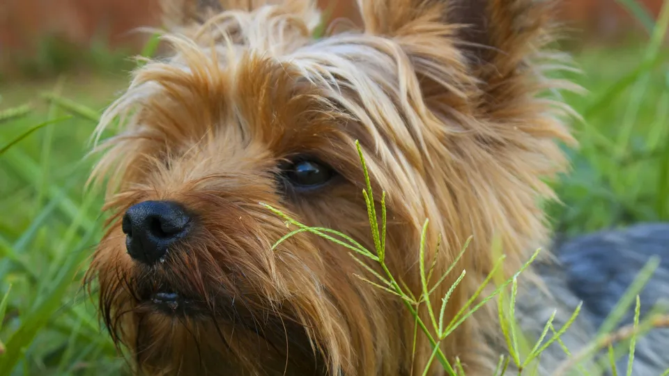 Фото: unsplash.com