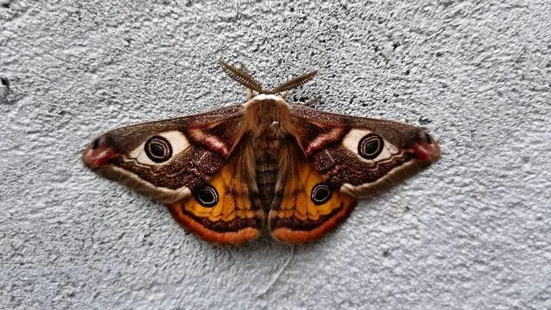 Фото: А. Ульянов