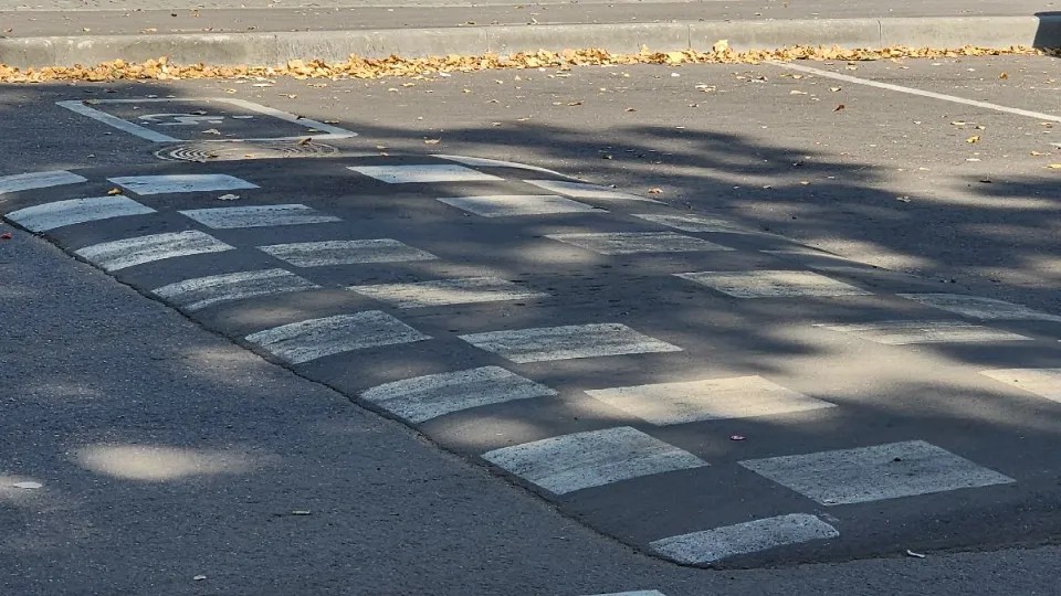 Фото: МедиаБанк Подмосковья/ Роман Савельев