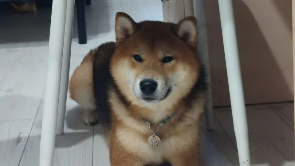 Фото: REGIONS/Юлия Габбасова