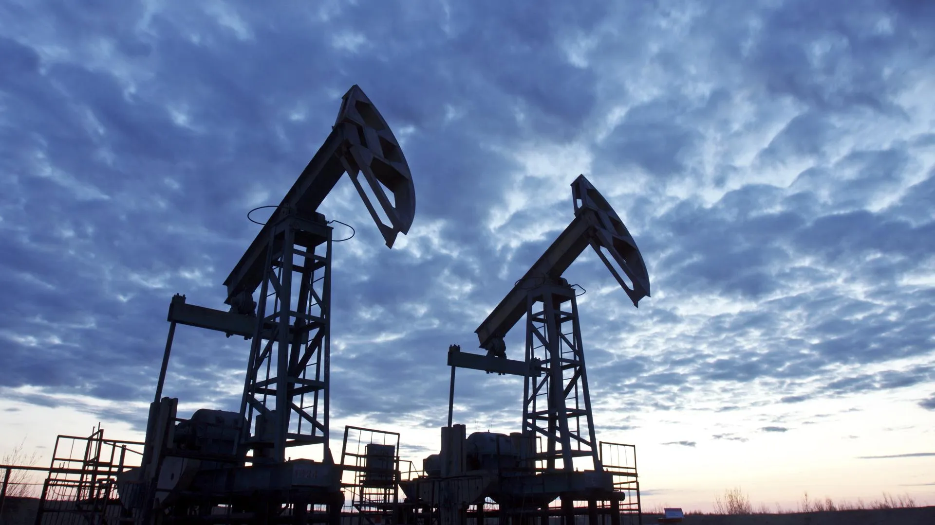 Nikolay Gyngazov/Global Look Press