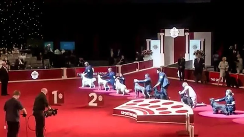 Социальные сети