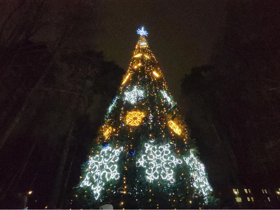 Фото: REGIONS/Артем Мишуков