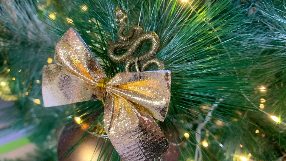 Фото: Анастасия Завертайло