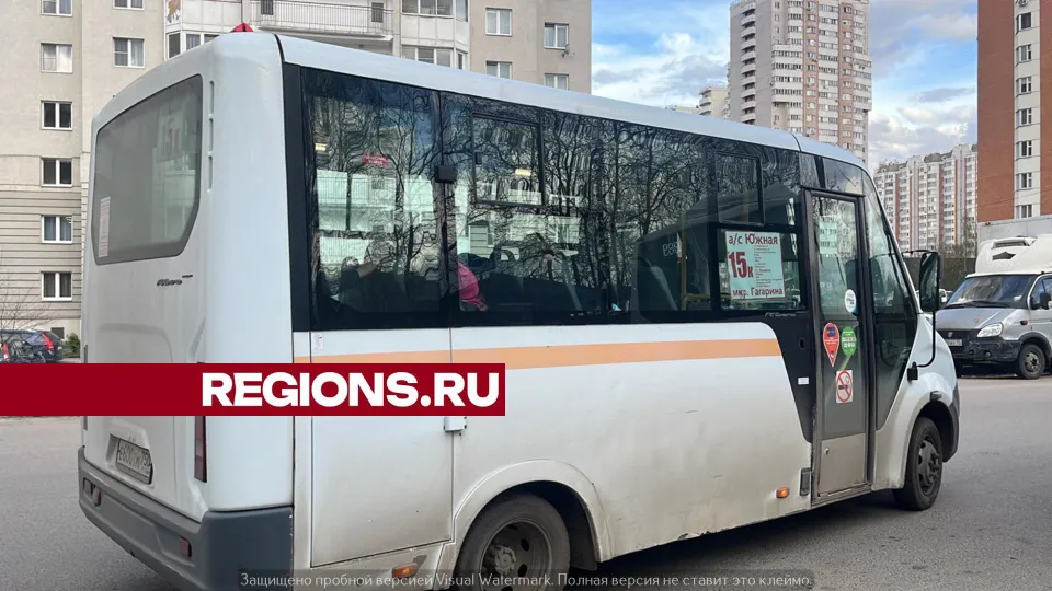 Фото: Елизавета Приймак