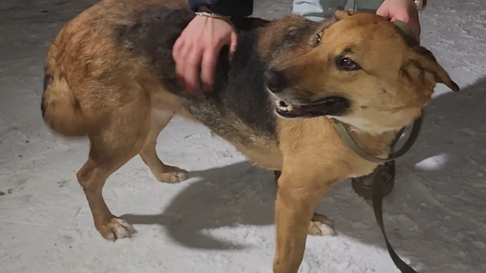 Фото: МедиаБанк Подмосковья/Иван Чижов