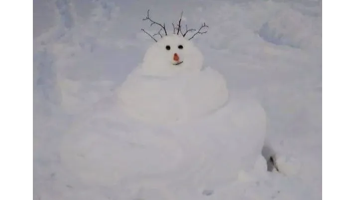 Фото: Дом культуры г. Электрогорск