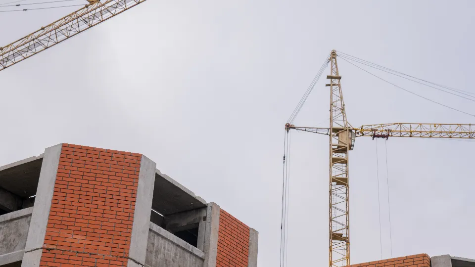 Фото: МедиаБанк Подмосковья/Наталья Надточая