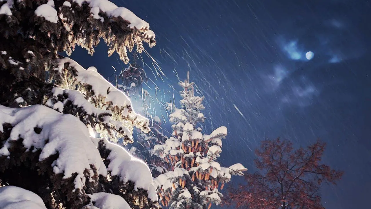 Андрей Башинский