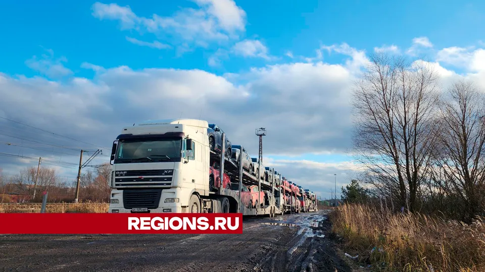 Фото: Юлия Андросова