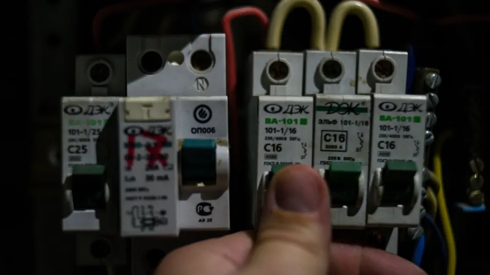 Фото: Медиаархив Подмосковья