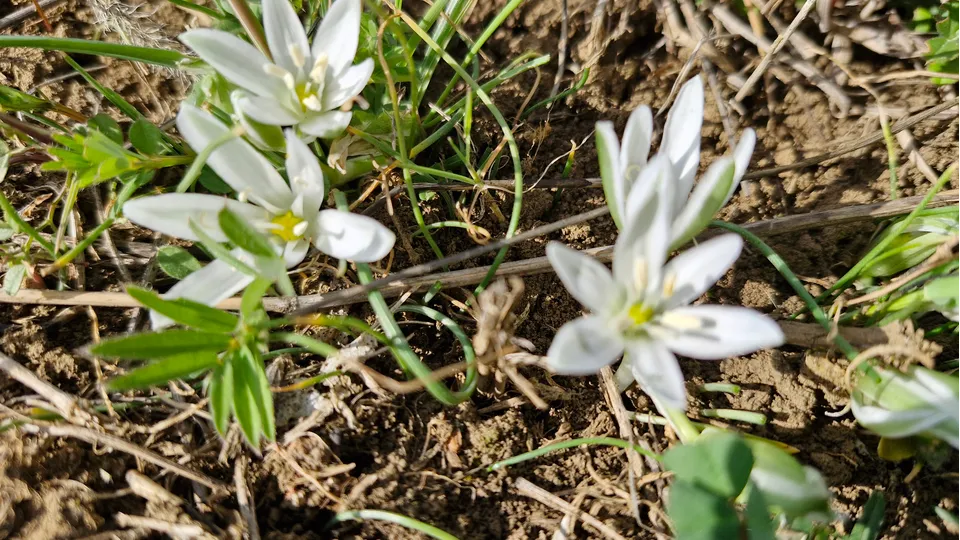 Фото: REGIONS/Наталия Надточая