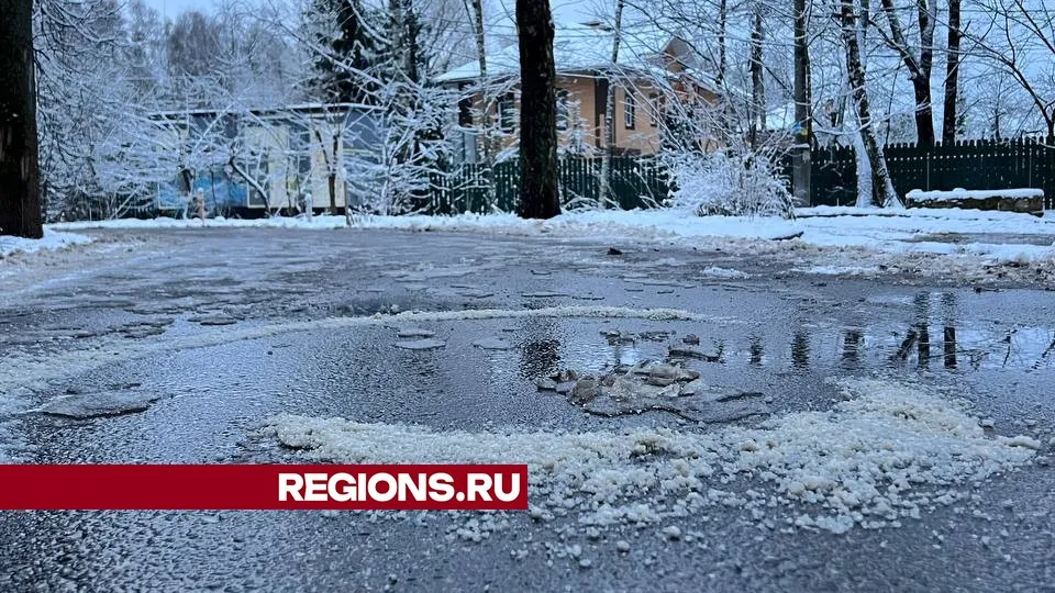 Фото: REGIONS/Елена Фурман