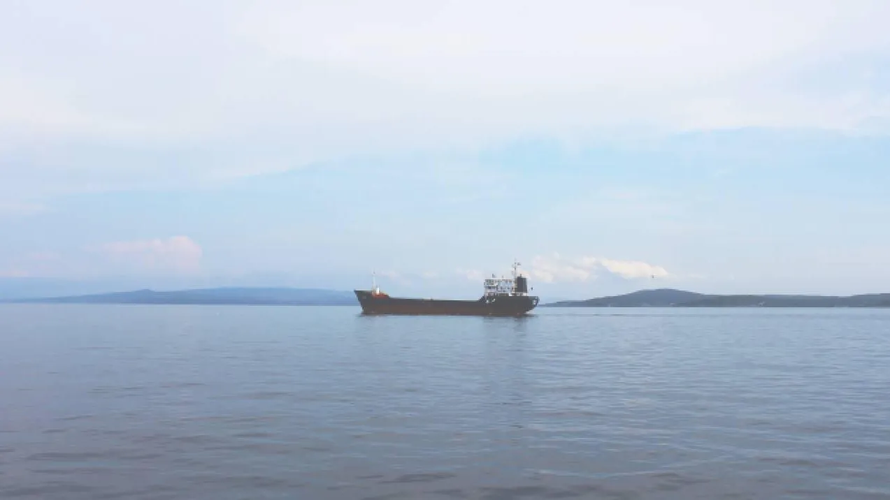 Эстония сообщила о задержании направлявшегося в Россию танкера