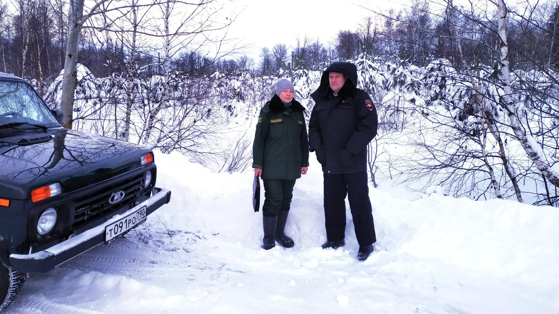 Фото: Ступинский филиал ГКУ МО «Мособллес»