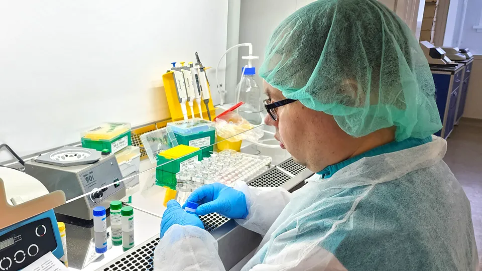 Фото: Валерия Тингаева