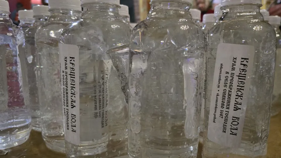 Фото: МедиаБанк Подмосковья/Яна Шаливская