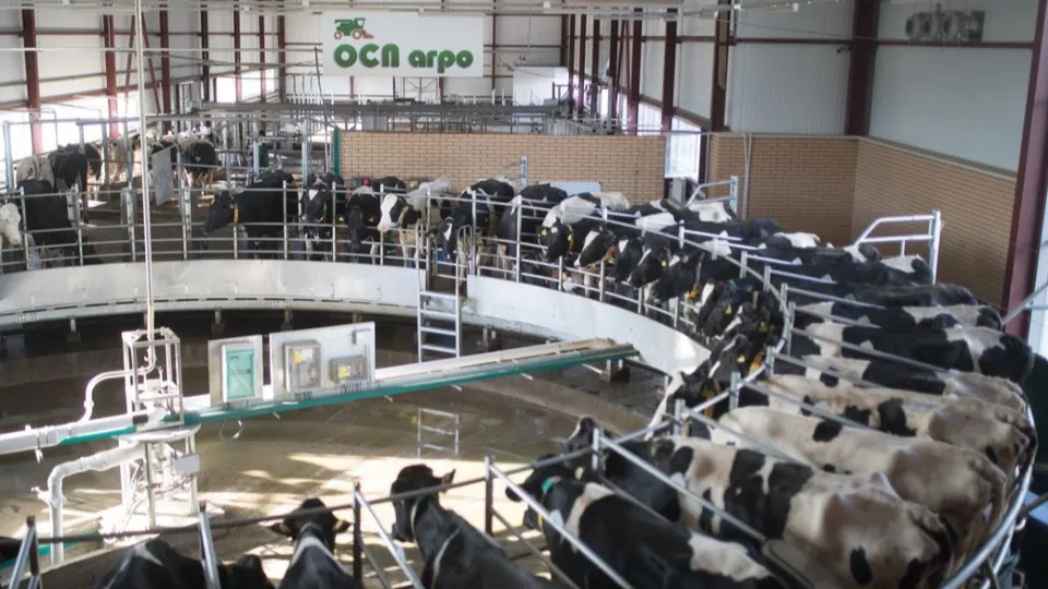 Фото: Агрохолдинг «ОСП агро»