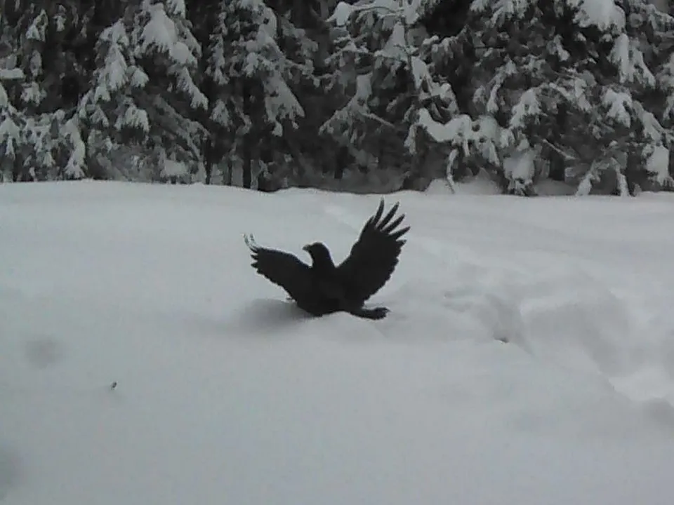 Фото: Василий Потапов