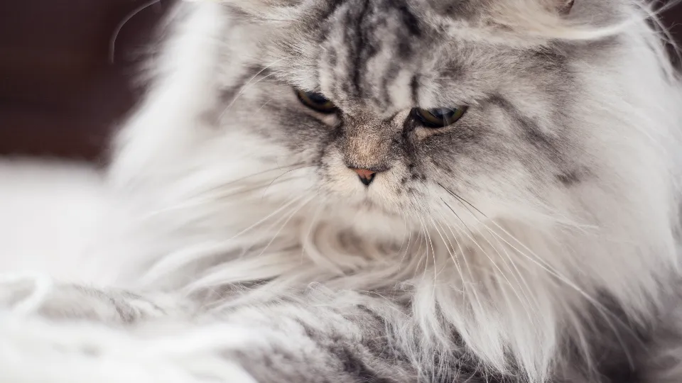 Фото: istockphoto.com