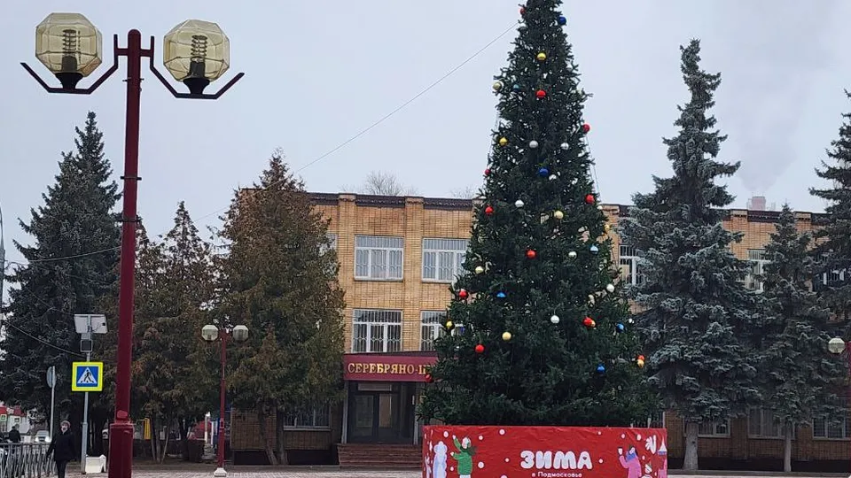 Фото: МедиаБанк Подмосковья/Ирина Матвеева