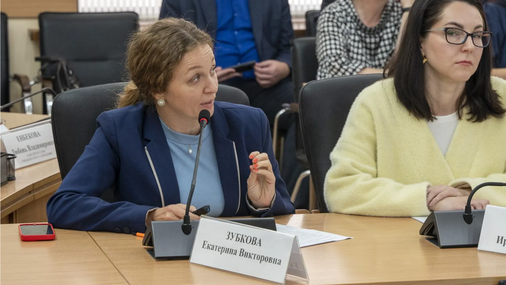 Фото: пресс-служба администрации г.о. Домодедово