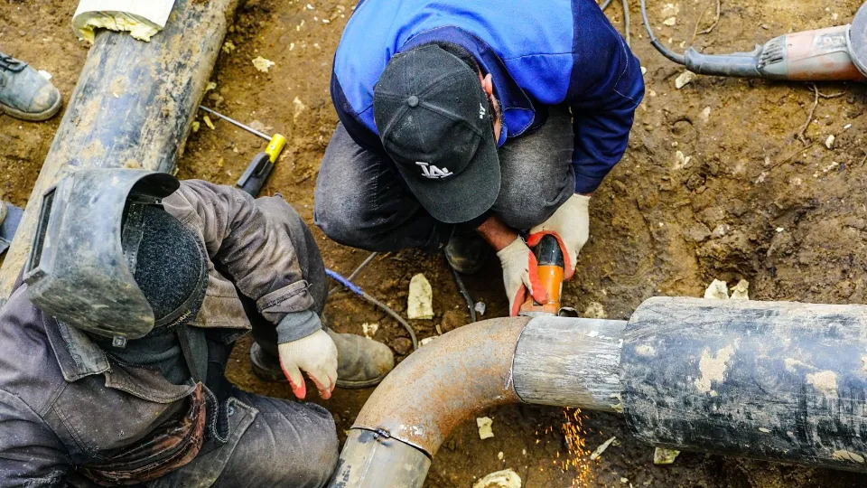 Фото: пресс-служба администрации г.о. Химки