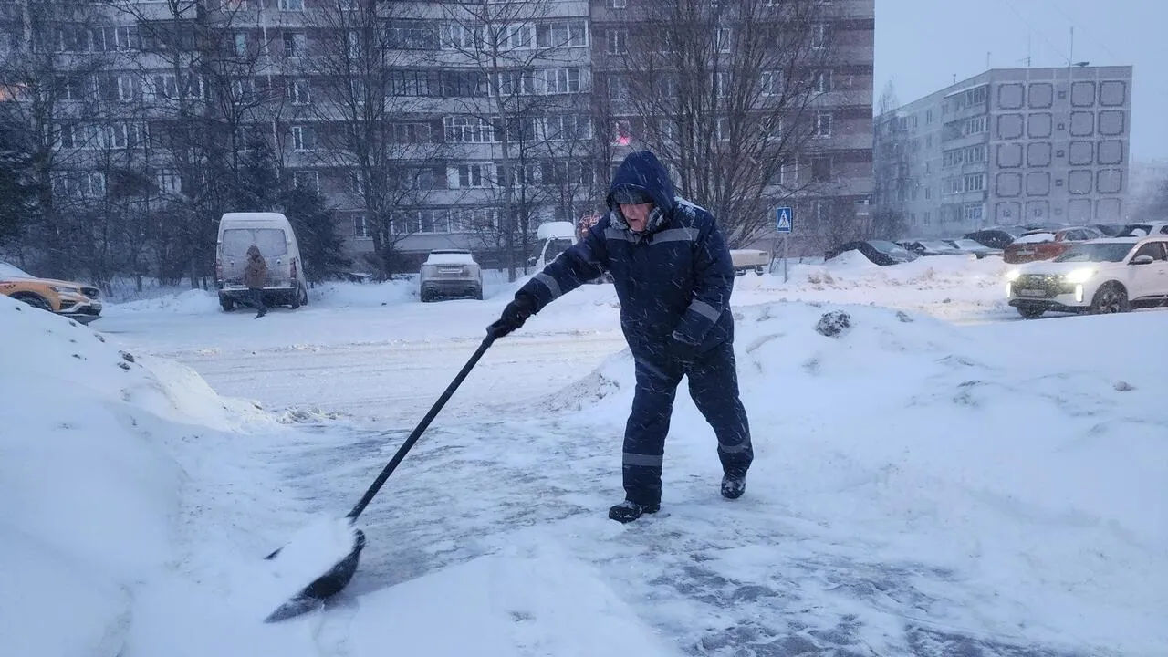 REGIONS/Валерия Тингаева