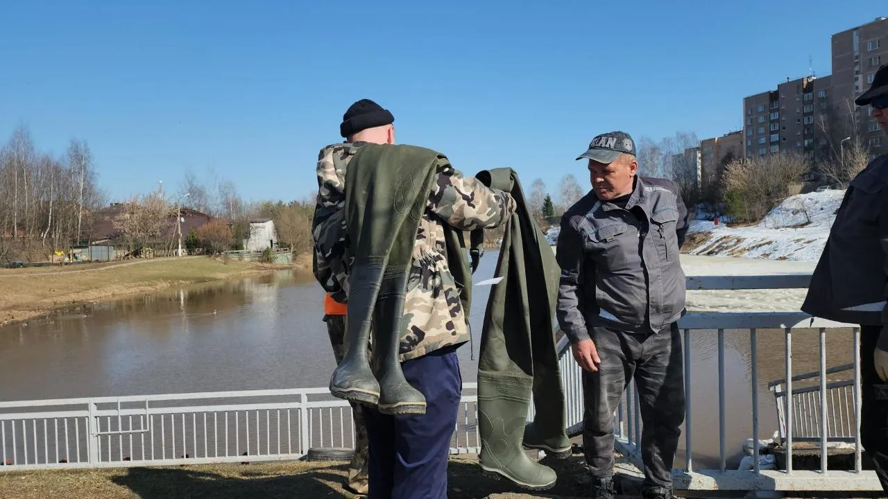 REGIONS/Кристина Ларина