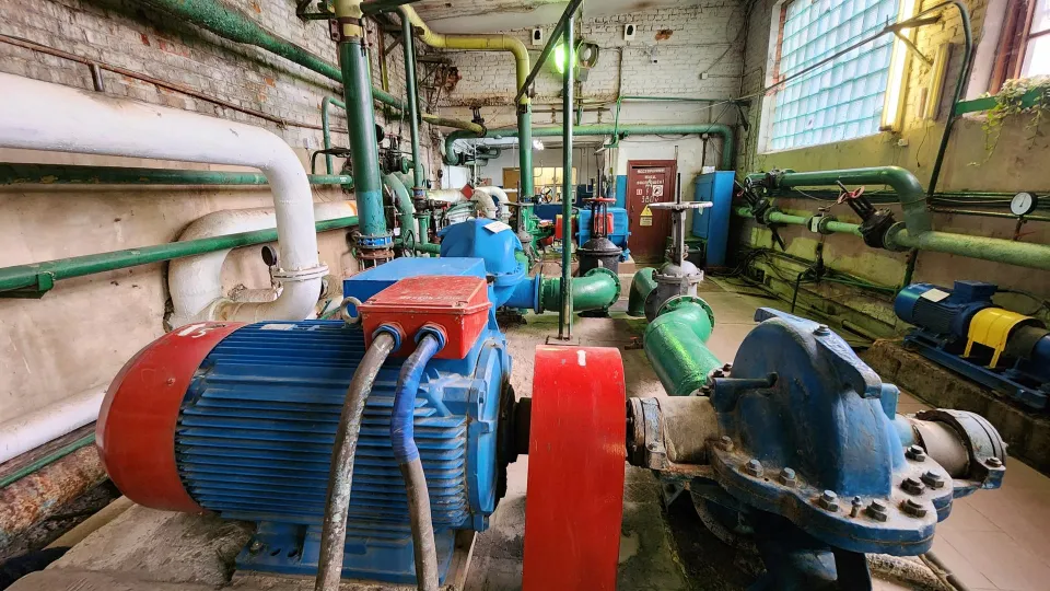 Фото: Дмитрий Алексеенко