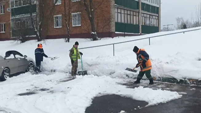 Фото: Пресс-служба администрации городского округа Истра