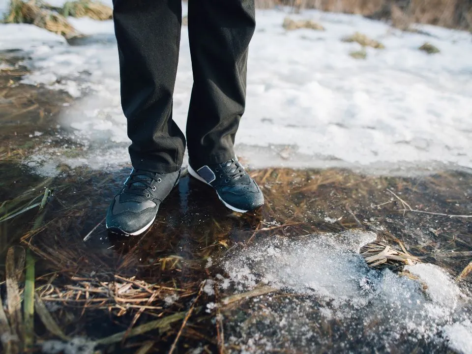 Фото: istockphoto.com/Artranq