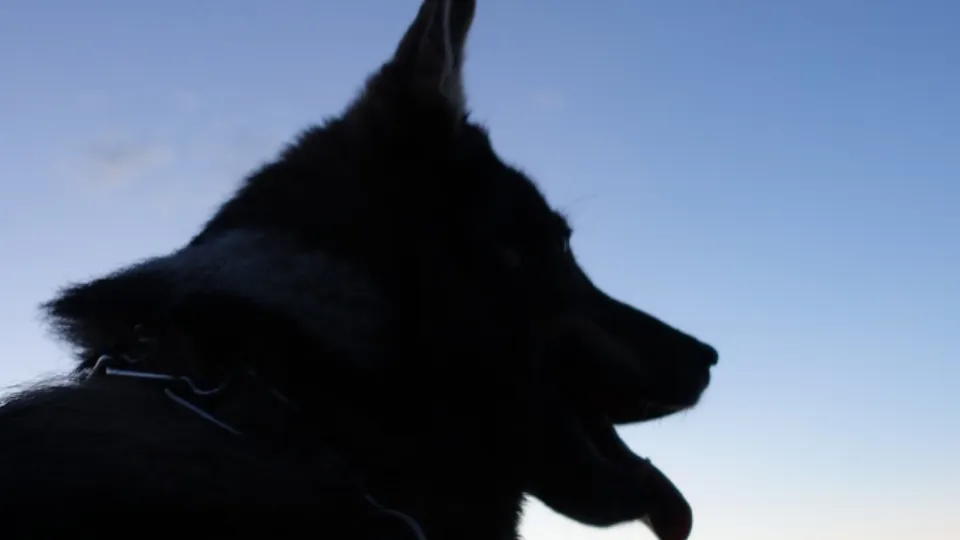 Фото: pxhere.com