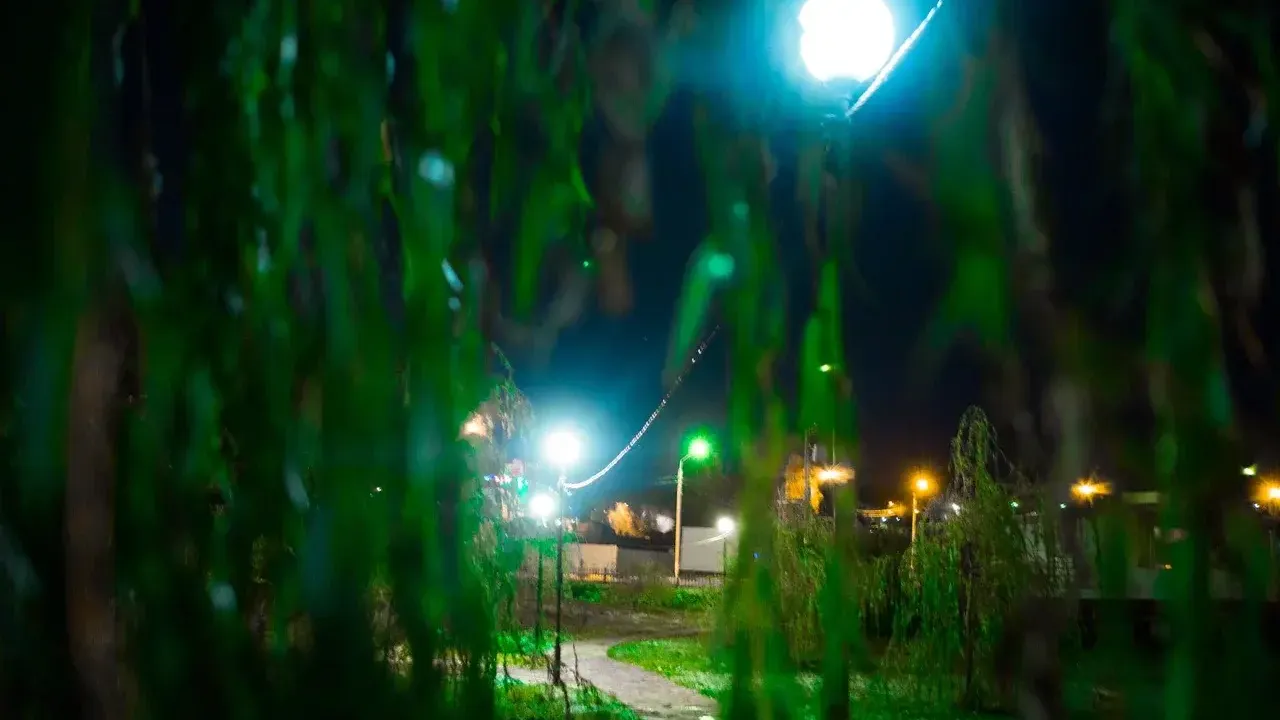 Фото: министерство благоустройства Московской области