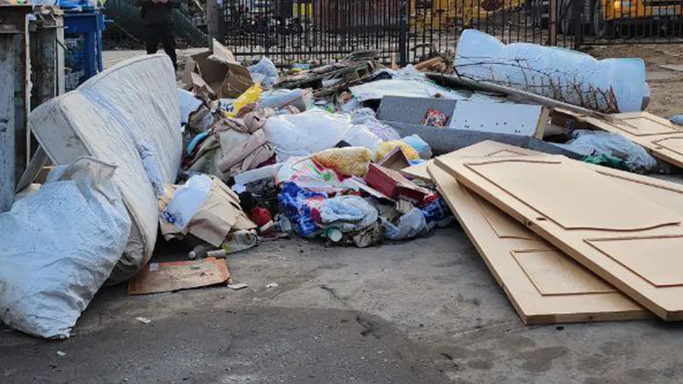 Фото: МедиаБанк Подмосковья/Наталья Лымарь