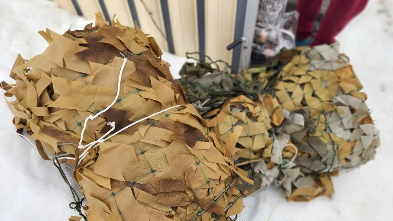 REGIONS/Елена Шумакова