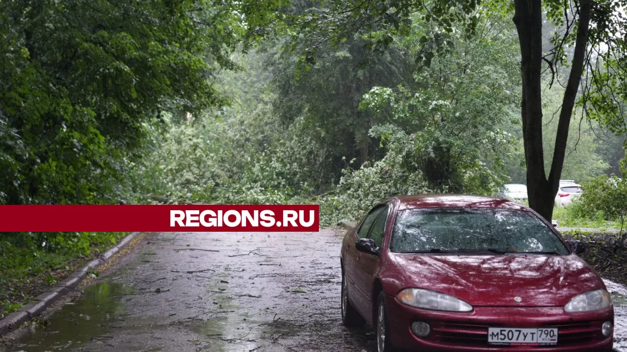 Фото: REGIONS/Дмитрий Зайчиков