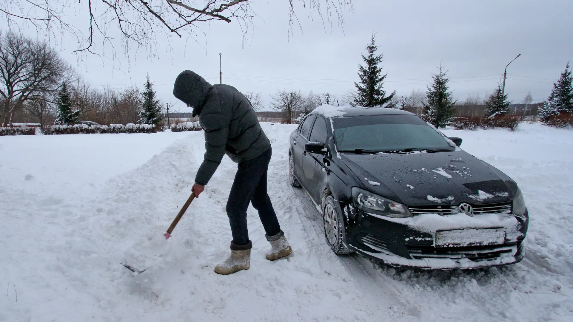 Фото: медиасток.рф