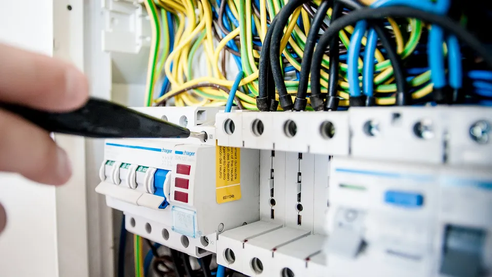 Фото: pxhere.com