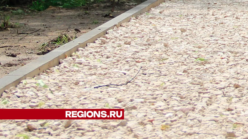 Фото: REGIONS/Василий Тремасов