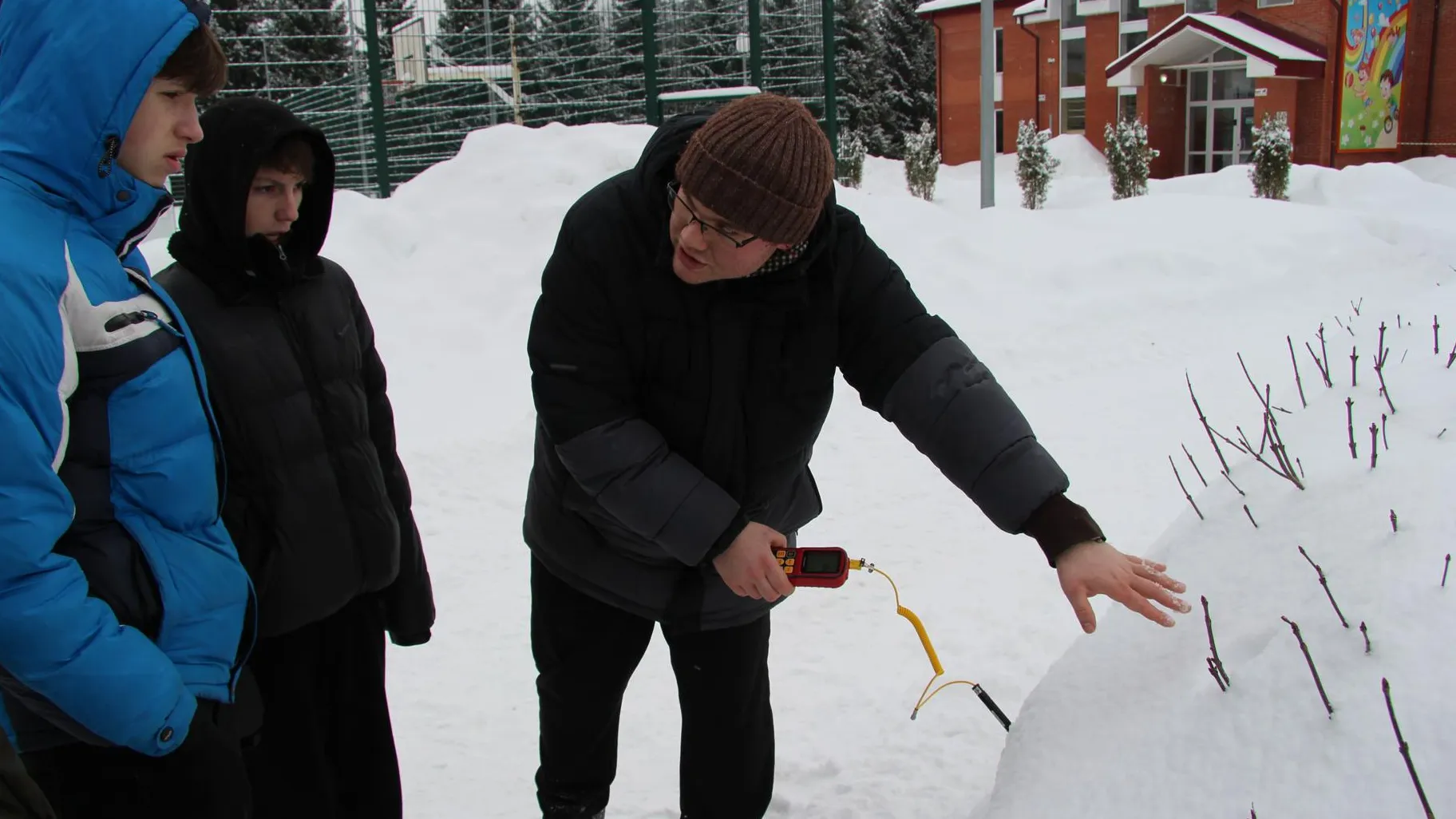 Анна Артюшина