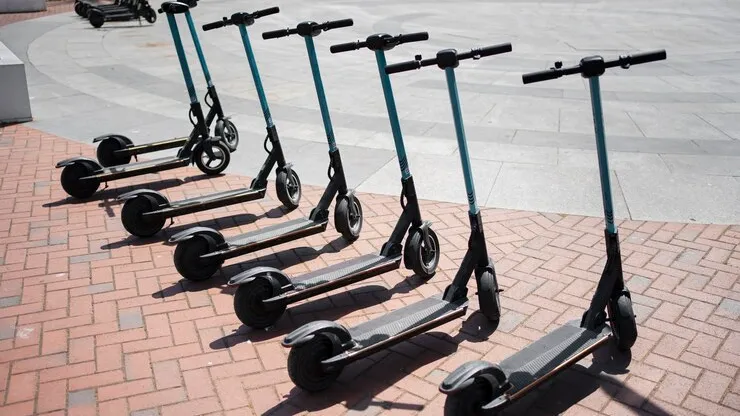 Фото: freepik.com