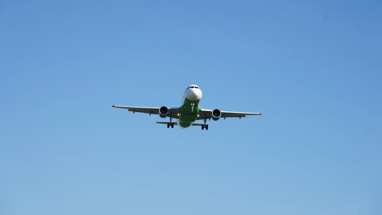 REGIONS/Дарина Левкина