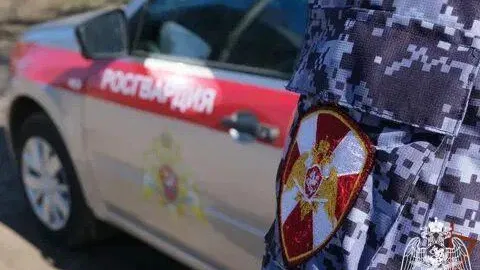 Фото: пресс-служба Росгвардии по МО