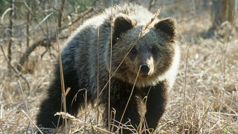 Фото: И. Шпиленок