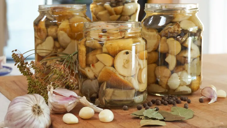 Фото: istockphoto.com/jtamm