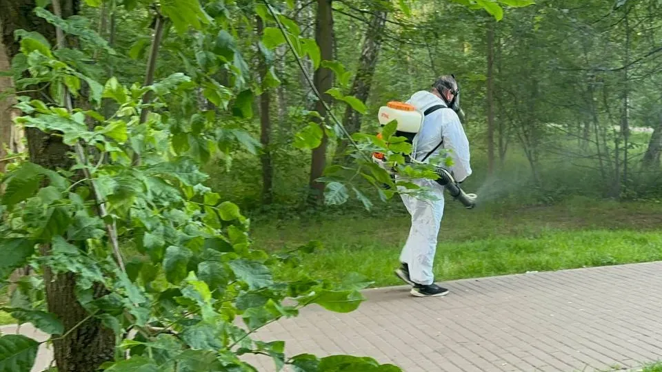 Фото: МедиаБанк Подмосковья/Эдуард Стратонов