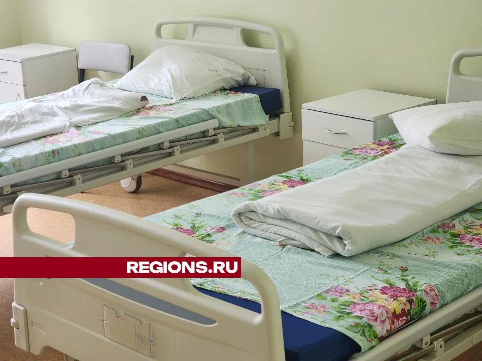 REGIONS/Екатерина Данилина